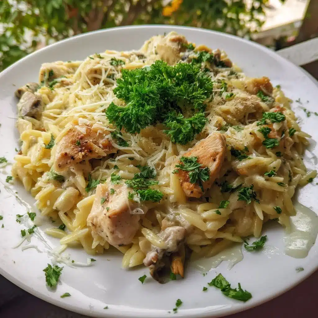 Creamy Garlic Parmesan Orzo with Chicken